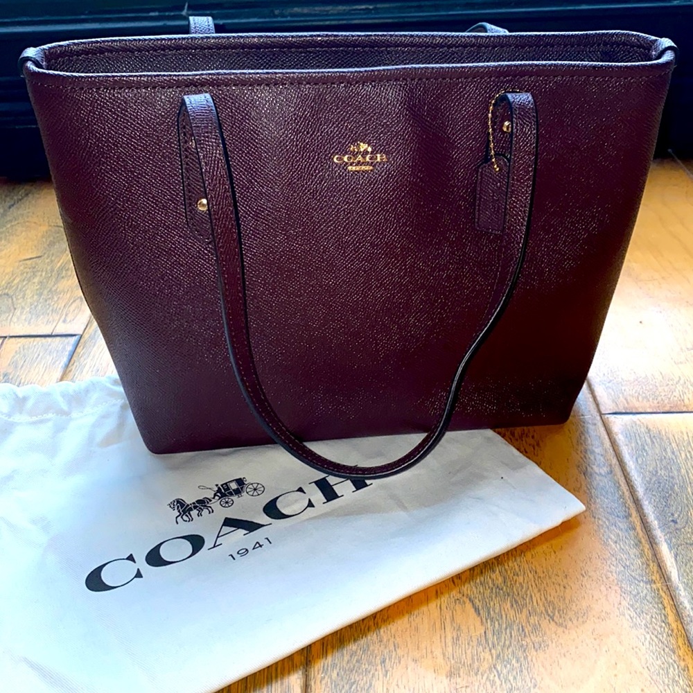 Mini Tote Coach Bag